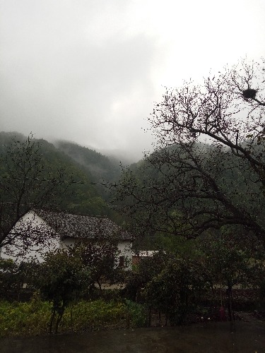 IMG20151006090917.jpg