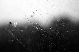 雨殇2.jpg
