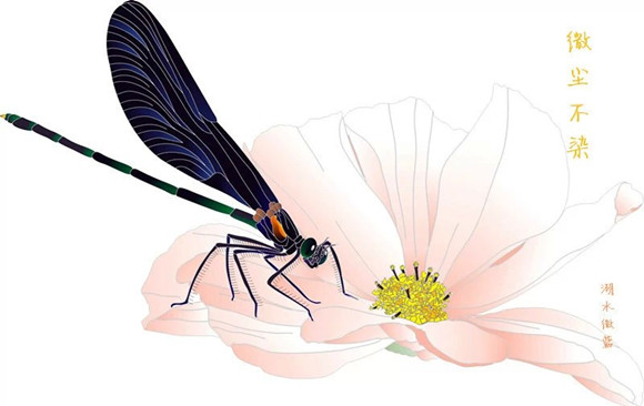 湖水微蓝插画设计（微尘不染）.jpg