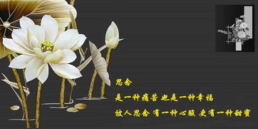 思念.jpg