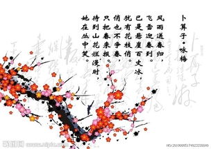 咏梅1.jpg