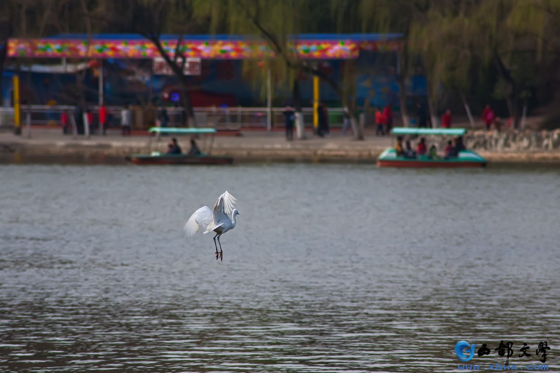 IMG_6799.jpg
