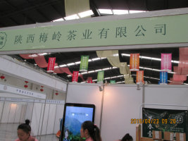 psbCA4HJO0O.jpg