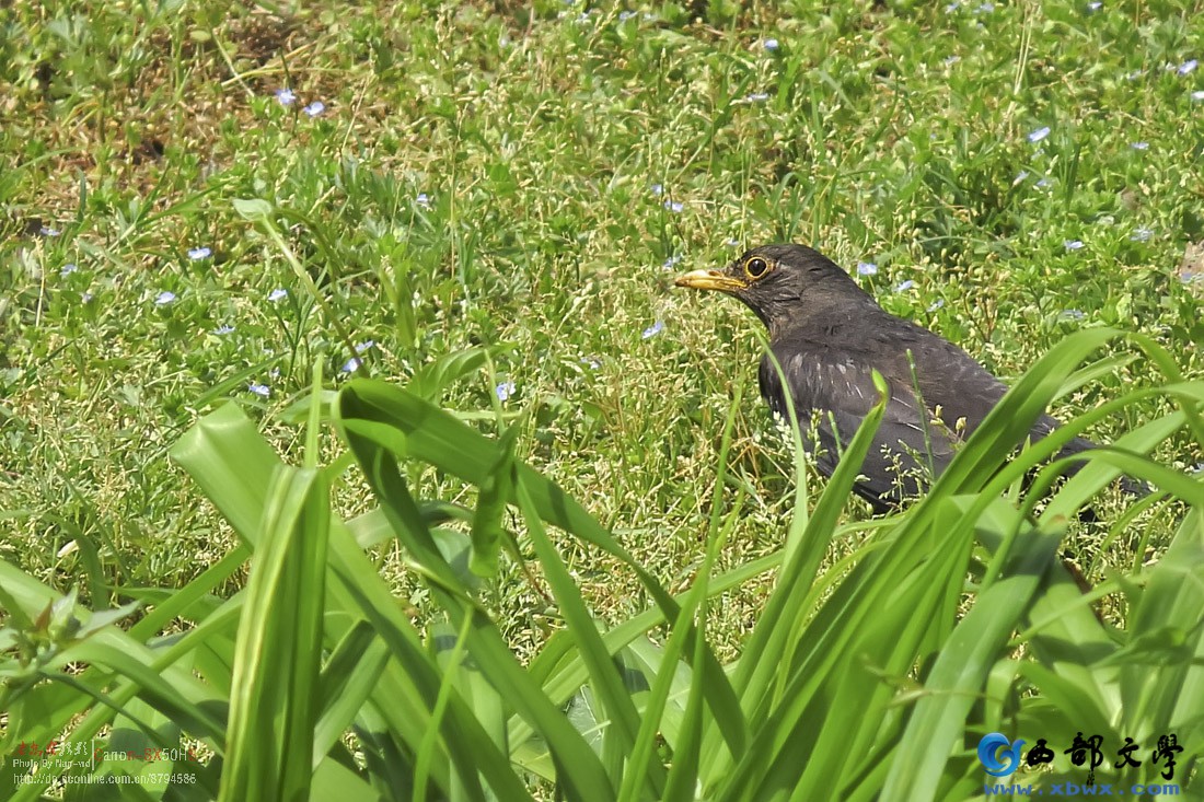 IMG_3263.JPG