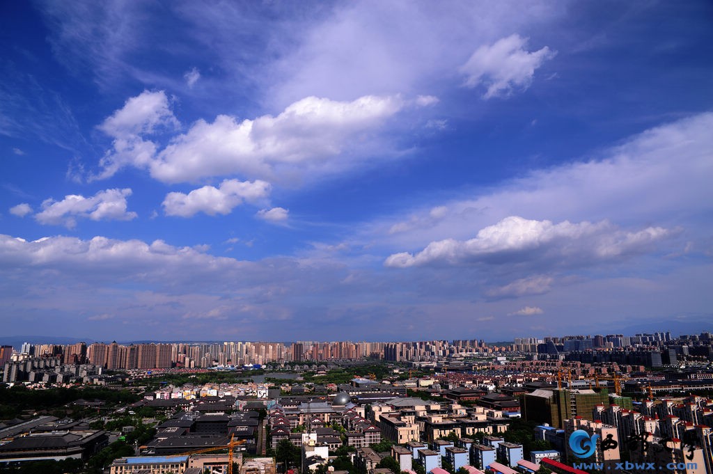 nEO_IMG_DSC_3202.jpg