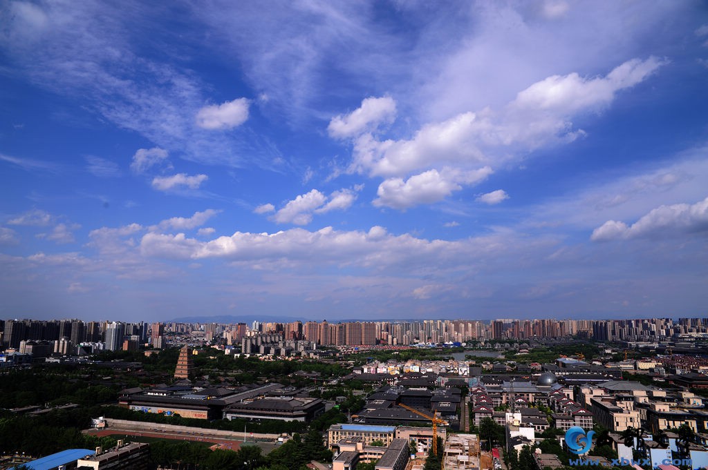 nEO_IMG_DSC_3205.jpg