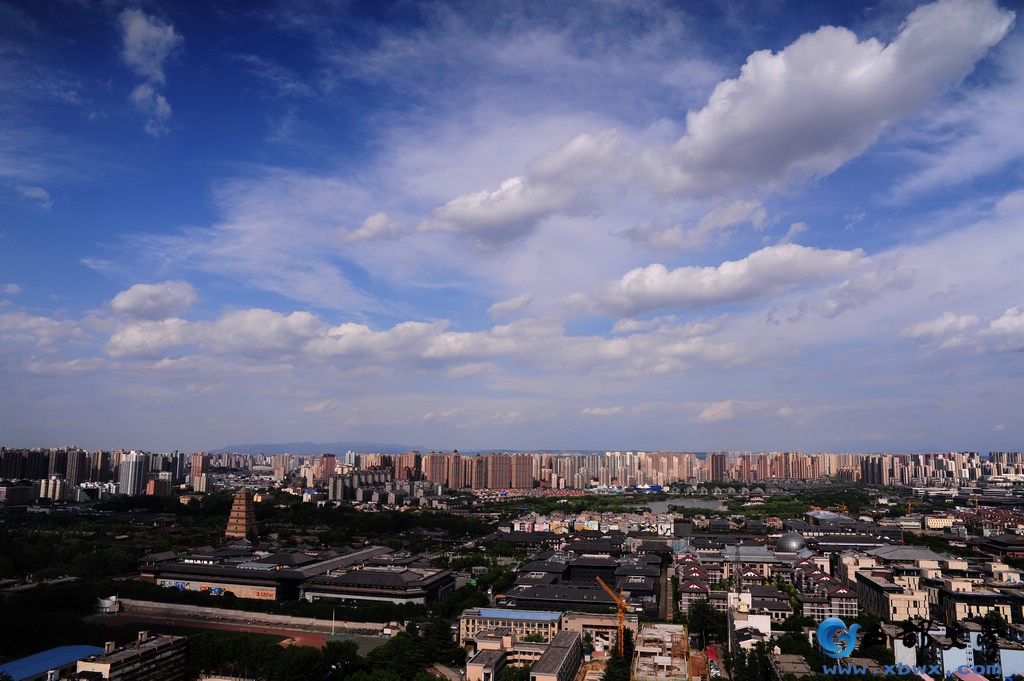 nEO_IMG_DSC_3212.jpg