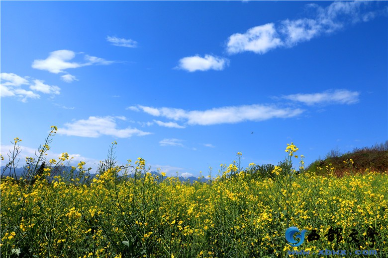 IMG_2601_副本_副本.jpg