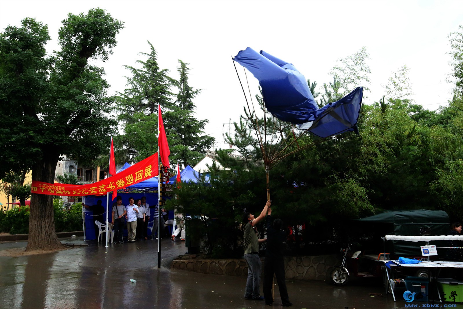 psb02.jpg