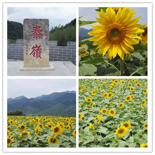 initpintu_副本.jpg