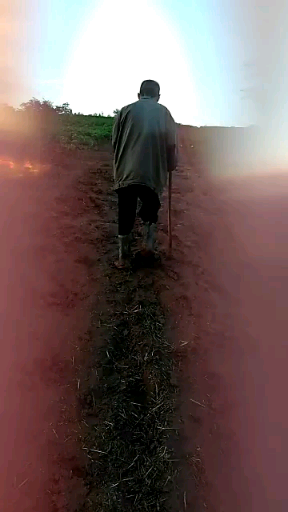 320439891115180749.png