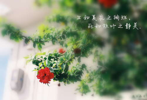 20131117233019_WHY8w.jpeg