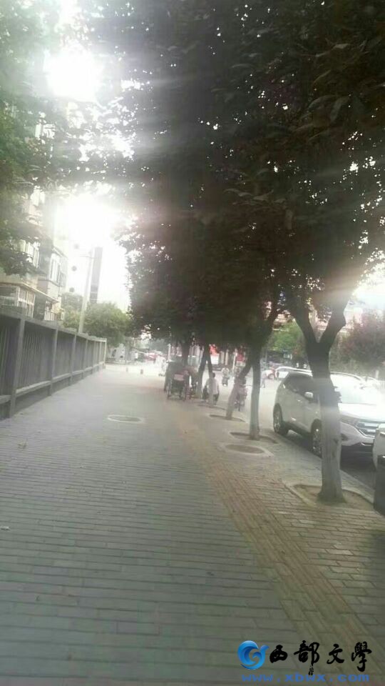 Cache_-46ddca7c91b1d000..jpg