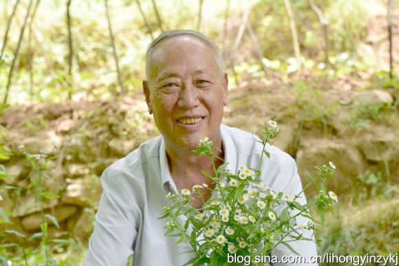 泰山.jpg