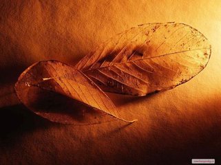 t0183f617b323dd4d6d.jpg