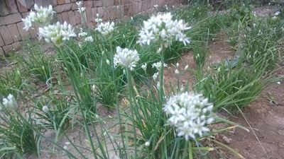 IMG_20160831_171320.jpg