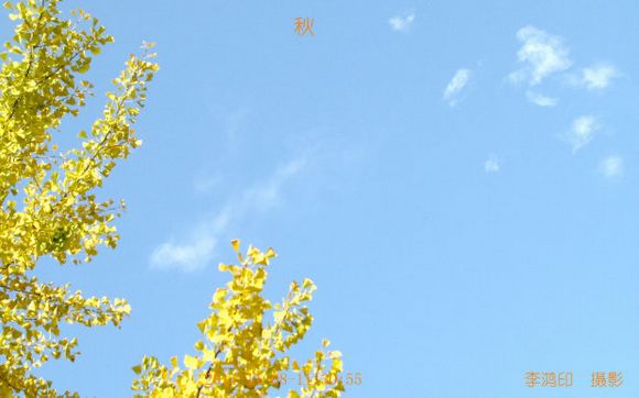 秋意.jpg