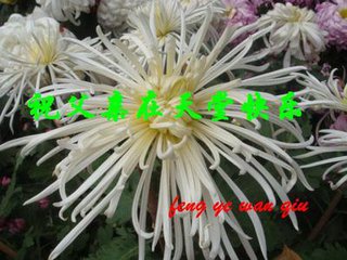 t014521f97d0761b1ed.jpg
