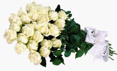 t019e465b09967dcc58.jpg
