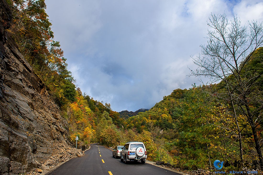 DSC_8246.JPG