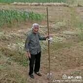 图7.jpg