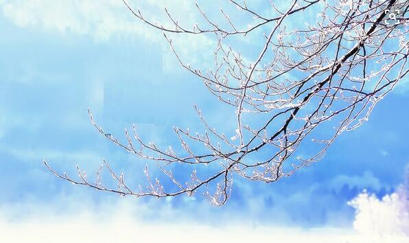 小雪.jpg