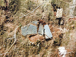 梦破1.jpg