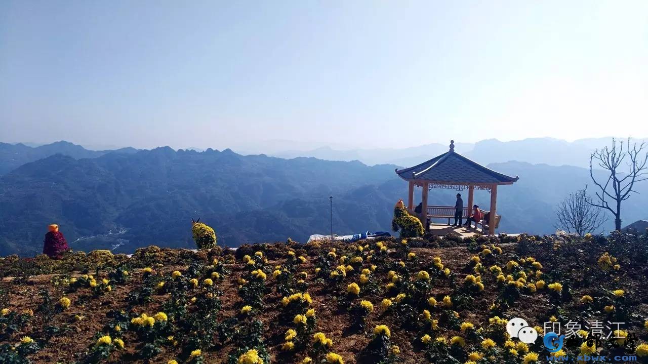 秋游4.jpg