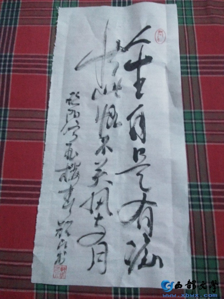 IMG20170103092151.jpg