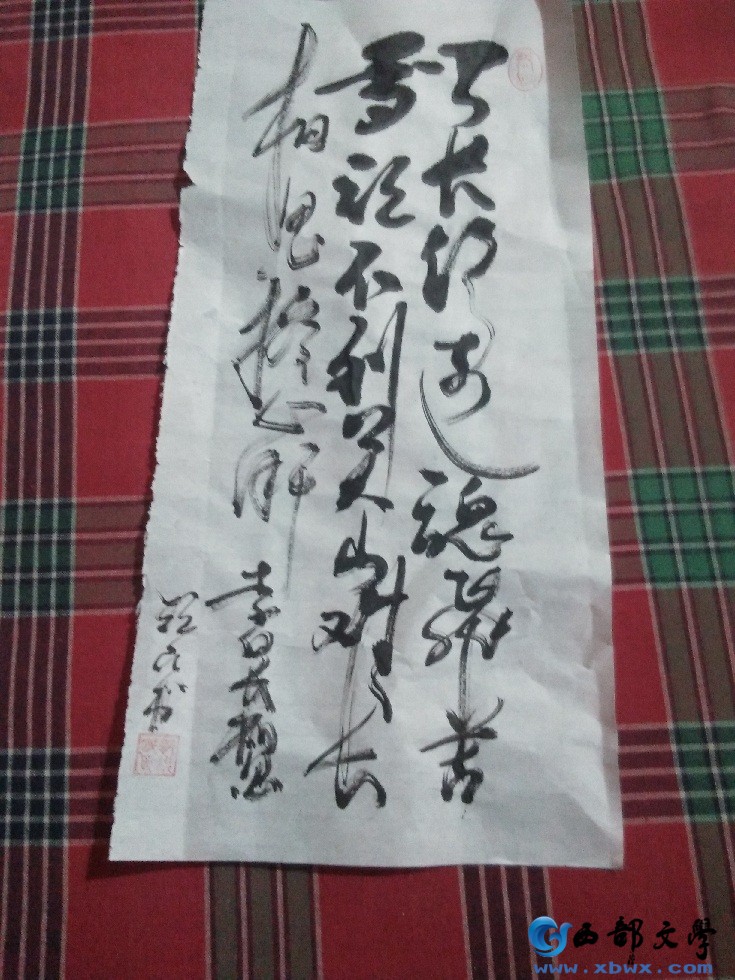 IMG20170103092213.jpg