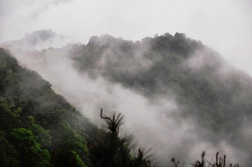 t0148e8f5679c6c3aac.jpg