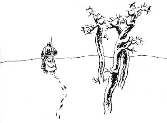 mmexport1461910522369.jpg
