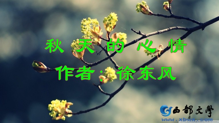 1242345sy9vtvcsyy9ain9_conew1.jpg