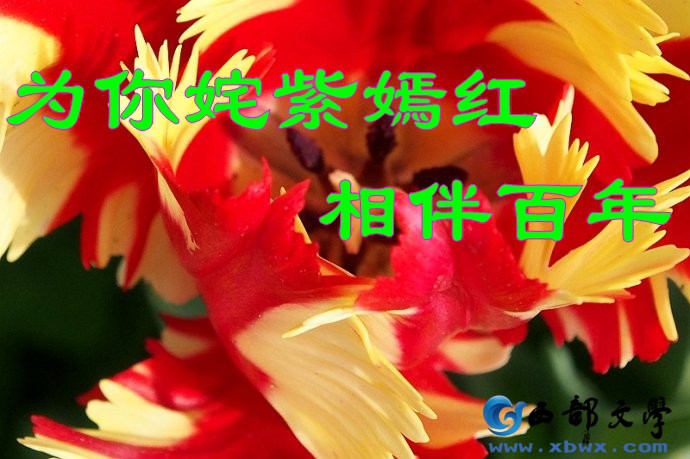 001nlwLFgy70IV7C2OF6d&amp;690_conew1.jpg