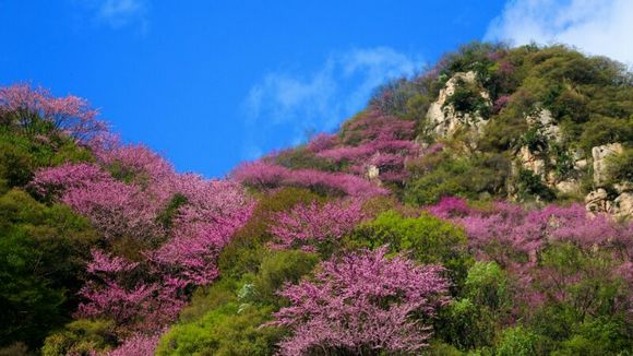 太平峪风景.jpg