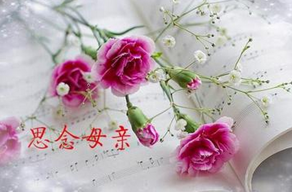 QQ图片20170820171138.png