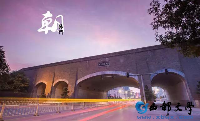 图片来自网络