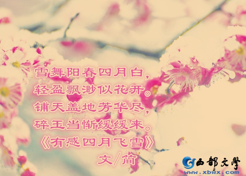 有感四月飞雪2.jpg