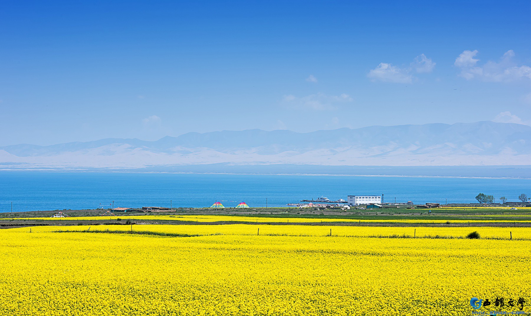 DSC_0410_副本.jpg