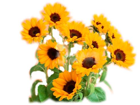 u=1861272802,3657146986&amp;fm=27&amp;gp=0.jpg