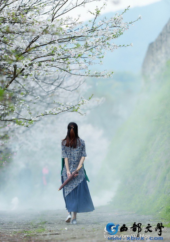 背影6.jpg