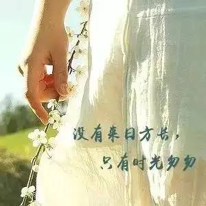 mmexport1531061413040.jpg