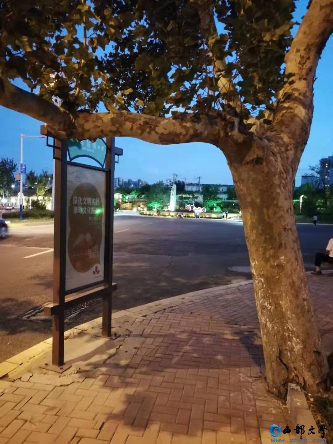 路边树诗配图.jpg