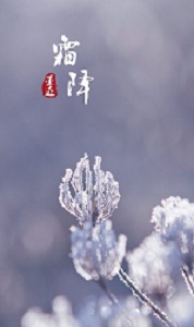 霜降.jpg