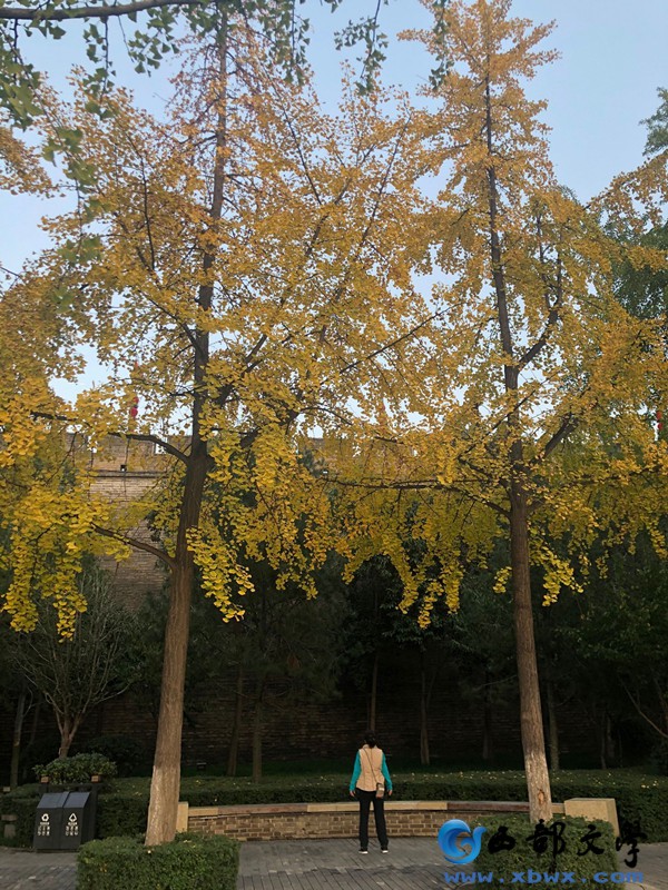 QQ图片20191113232436_副本.jpg