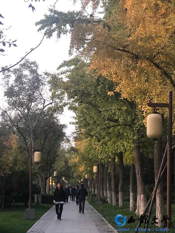 QQ图片20191113232610_副本.jpg
