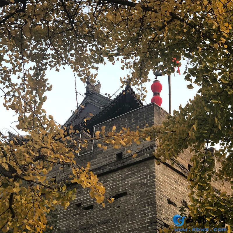QQ图片20191113232631_副本.jpg