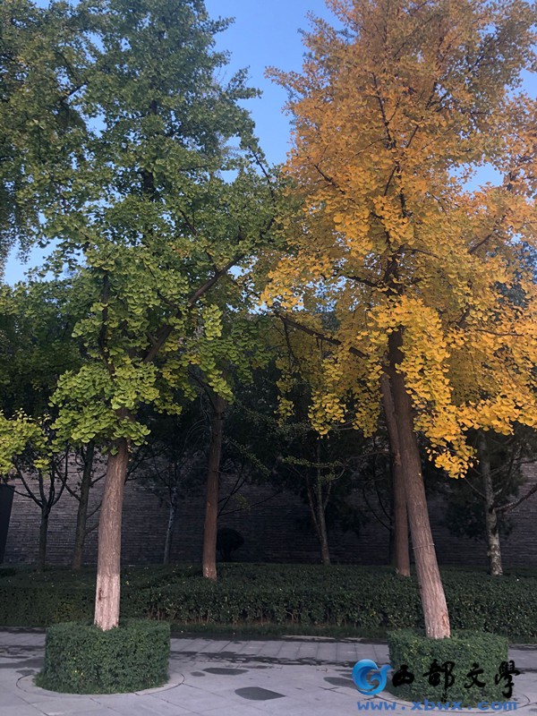 QQ图片20191113232640_副本.jpg