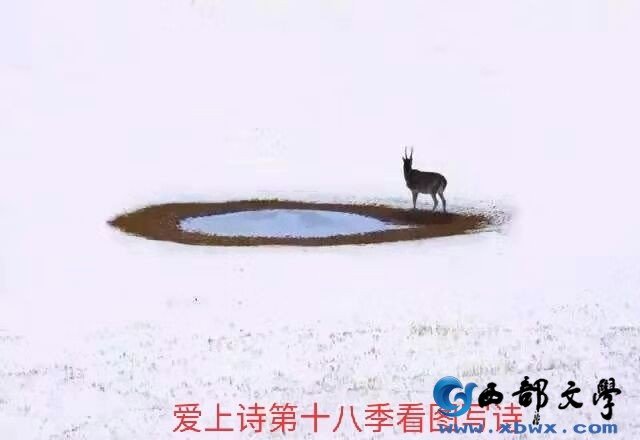 微信图片_20191210082928.jpg