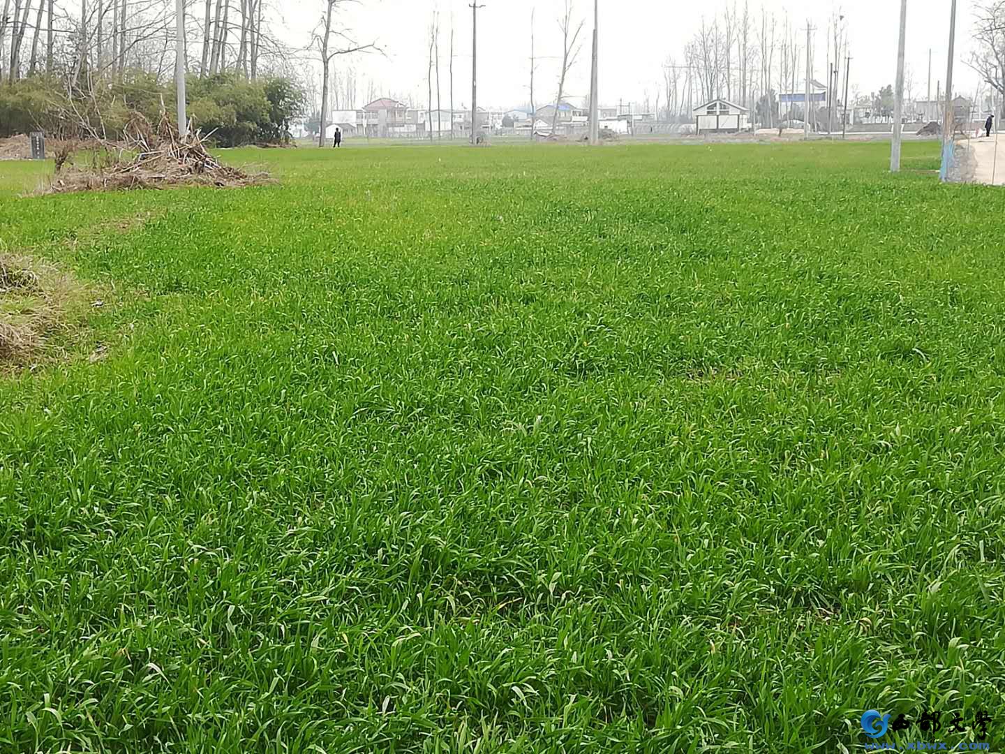 微信图片_20200220191056.jpg